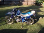 1987 Suzuki DR 600 R Dakar photo